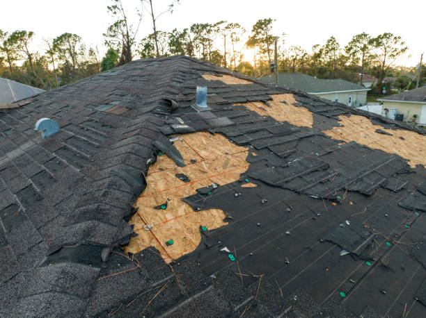 Roof Moss and Algae Removal in Beachwood, NJ